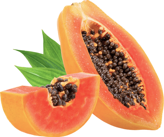 Synadentix Dextranase